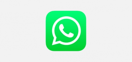 WhatsApp позволит совершать видеозвонки в веб-версии в 2021 году
