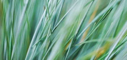 Бренды стали отказываться от «Черной пятницы» из-за изменения климата