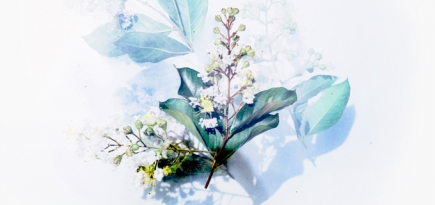 Как установить справедливый гонорар для художника