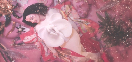 Бьорк объяснила дизайн костюмов для мирового тура Utopia