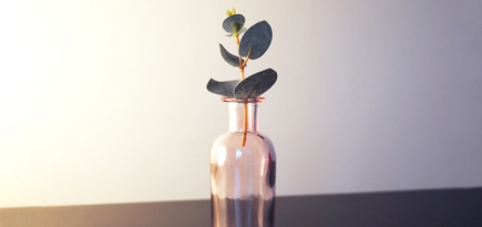 Какие запахи нравятся миллениалам