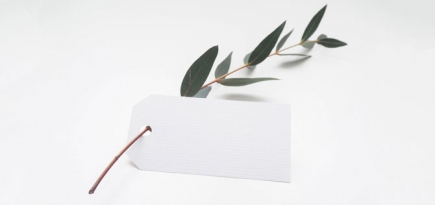 Почему онлайн-торговля вреднее для экологии, чем офлайн-шопинг