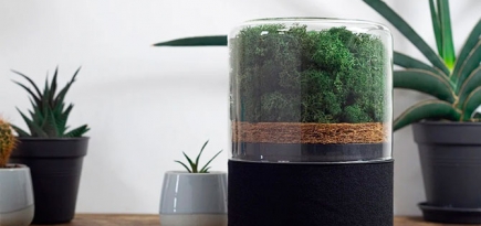 Дизайнеры создали компактный очиститель воздуха в виде микро-леса