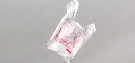 В Германии запретят изделия из одноразового пластика в 2021 году