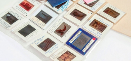 Музей «Гараж» и «Википедия» объявили конкурс статей о современном искусстве