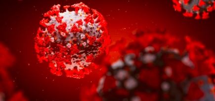 В Подмосковье ввели ограничения для жителей старше 65 лет и людей с хроническими заболеваниями