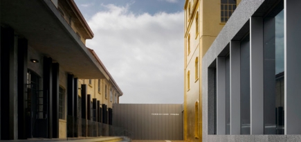 Fondazione Prada анонсировал трехлетний проект в сфере нейробиологии