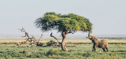 Африка стала вторым регионом в мире по темпам роста туризма