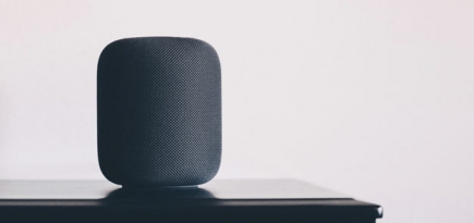 Голосовые помощники влияют на выбор миллениалов больше, чем лояльность бренду