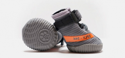 Fresh Pawz выпустил ботинки для собак по мотивам кроссовок Yeezy