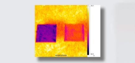 Ученые создали супербелый цвет, который поможет бороться с изменением климата