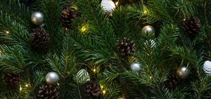 Врачи, курьеры и таксисты сняли свое новогоднее обращение