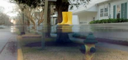 В Москве пройдет фестиваль зеленого документального кино