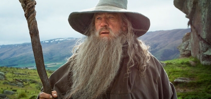 Актриса из «Властелина колец» предложила женщину на роль Гэндальфа