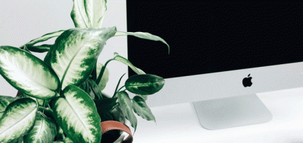 Стажеры в Facebook, Apple и Google получают больше, чем средний американец