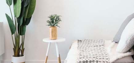 Людям не хватает личного пространства даже дома, выяснила IKEA