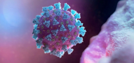 В ЮАР нашли новый тип коронавируса
