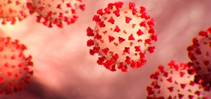 Вирусолог назвал пик эпидемии коронавируса в России