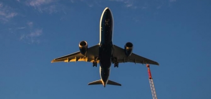 Россия возобновит перелеты в Индию, Вьетнам, Катар и Финляндию