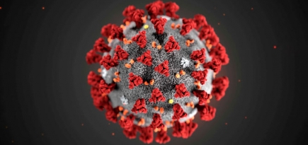 Минздрав поспорил с Минобороны о готовности российской вакцины от COVID-19
