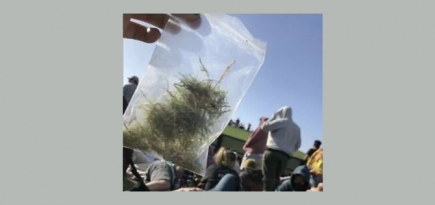 В Сети продают «святую» траву со службы Канье Уэста на Coachella