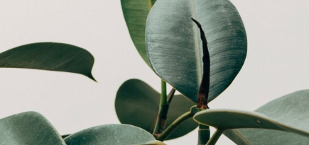 H&M и Uniqlo оказались в низу рейтинга экологичных брендов Remake