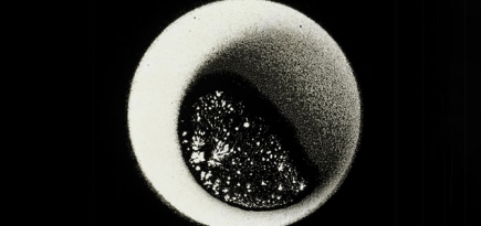 Умер пионер видеоарта Алдо Тамбеллини