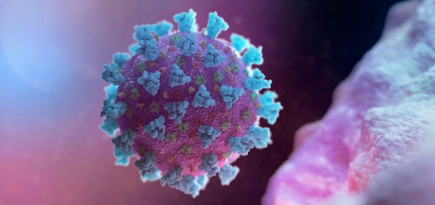 Масштабная вакцинация от COVID-19 в России начнется на следующей неделе