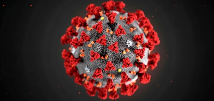 Ученые раскритиковали статью о российской вакцине против коронавируса