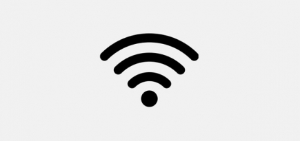 Как пользуется интернетом средний россиянин