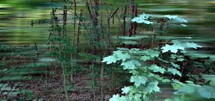 Выставка \"Истории со всего света\" в галерее Lumas