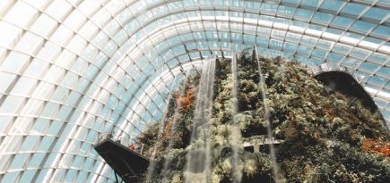 Что делать на новогодних каникулах в Сингапуре