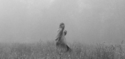 Тейлор Свифт выпустила саундтрек к фильму «Там, где раки поют»