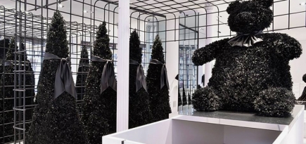 \"Черное Рождество\" Александра Ванга