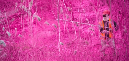 Буйство цвета за окном поезда: проект Катарины Гроссе