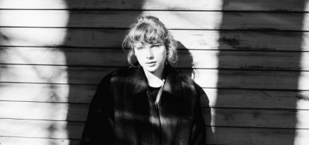 Тейлор Свифт подверглась критике из-за частых перелетов на частном самолете