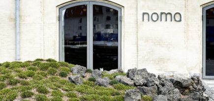 Ресторан Noma в Копенгагене открылся после ремонта