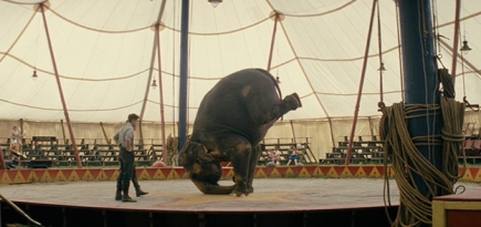 В украинских цирках не будет выступлений с животными