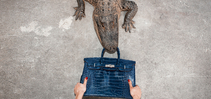 Почему поднялся такой шум вокруг истории PETA, Джейн Биркин и Hermès?
