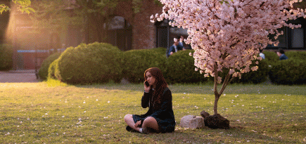 «Целую, Китти» и «Шерлок и дочь»: какие сериалы смотреть в январе