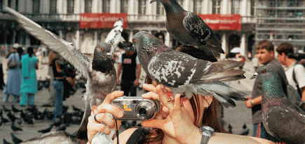 «Время брутализма» и «Я — Мартин Парр»: что смотреть на Beat Weekend 2025. Выбор BURO.