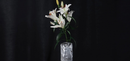 A+V, Urban Family и Swog: home-бренды из России, о которых вы могли не знать