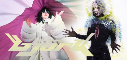 Клипы как современное искусство и альбомы как целая вселенная: за что мы любим Бьорк