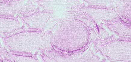 Коллаген и пищевые добавки: в каких продуктах искать источник белка и как он усваивается