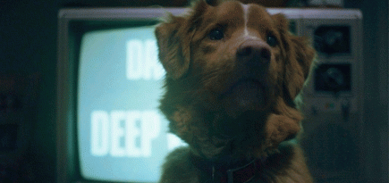 Больше, чем страх: пять умных и тонких хорроров, вышедших в 2025 году