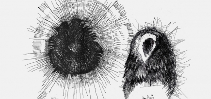 Художники рисуют для BURO.: Даня Пирогов — о страхе перед природными силами