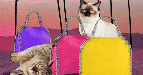 Стелла МакКартни выпустила \"радужную\" коллекцию сумок