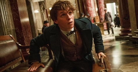 Джоан Роулинг объявила о съемках пяти новых фильмов о вселенной Гарри Поттера