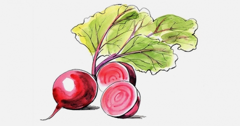 Все о борщах и о том, как их готовить, — советы шеф-повара