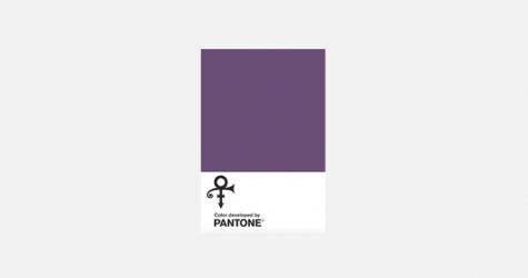 Pantone посвятил цвет Принсу